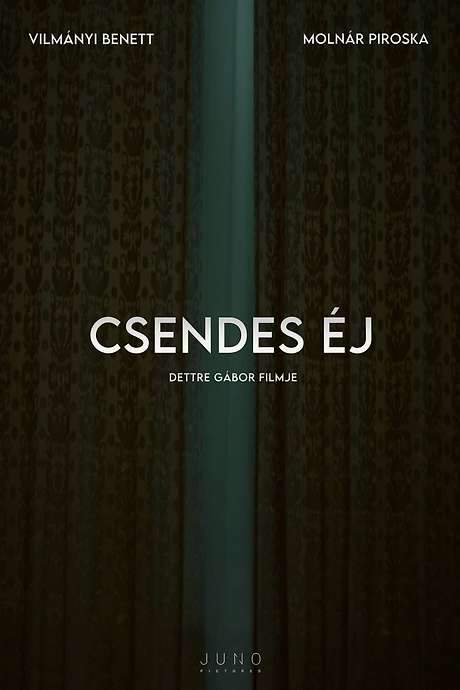 Csendes éj